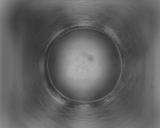 X0000071800108200606301211