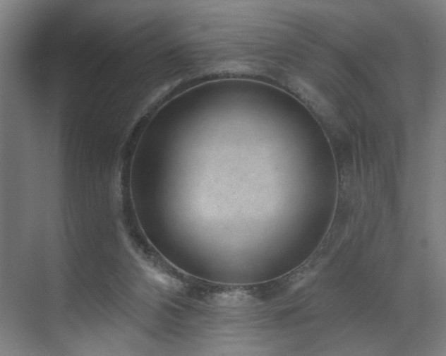 X0000071800112200606301211