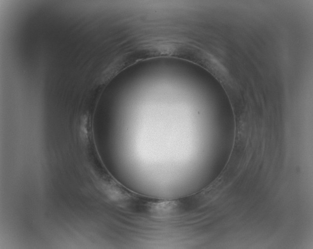 X0000071800122200606301211