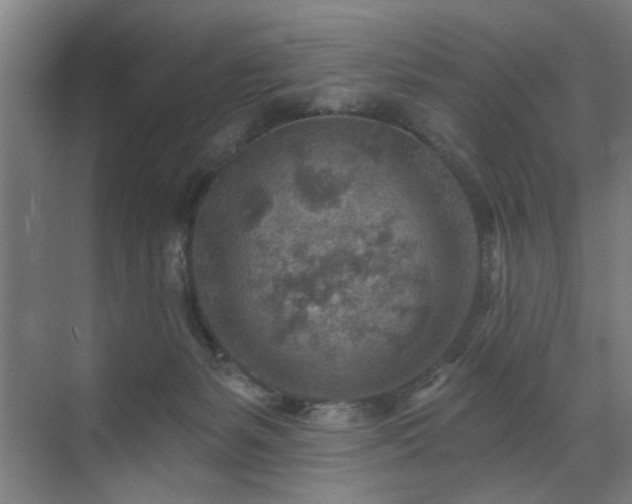 X0000071800127200606301211