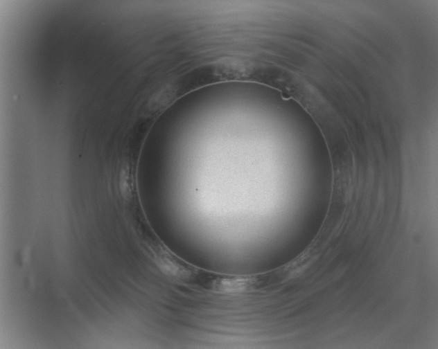 X0000071800134200606301211