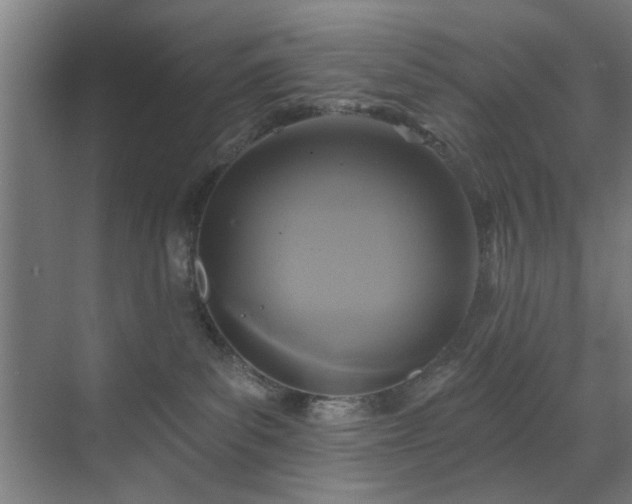 X0000071800139200606301211