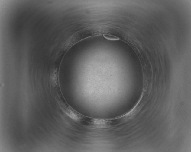 X0000071800144200606301211