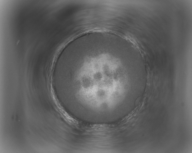 X0000071800145200606301210