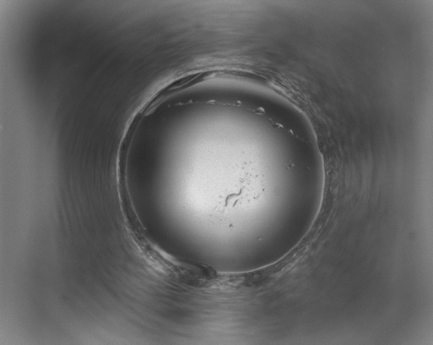 X0000071800148200606301210