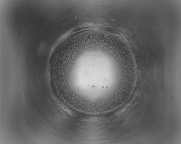 X0000071800149200606301210