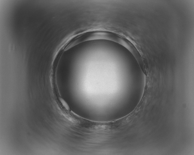 X0000071800152200606301210