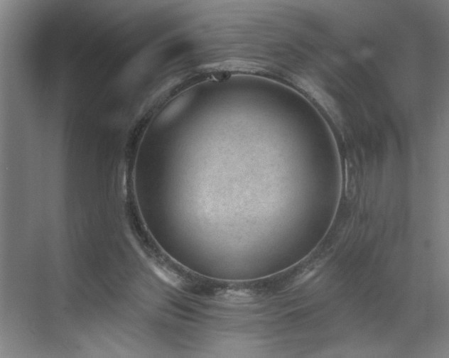 X0000071800157200606301210