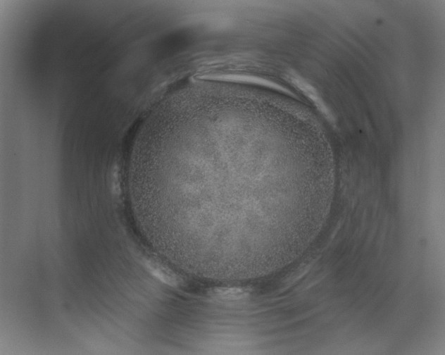 X0000071800161200606301210