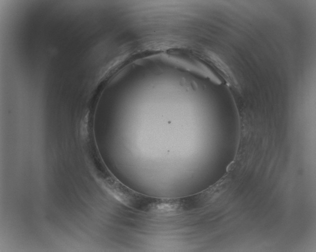 X0000071800163200606301210