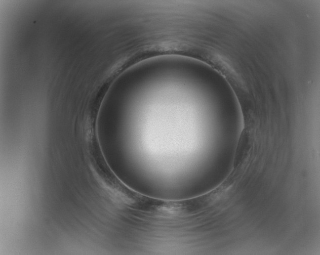 X0000071800164200606301210