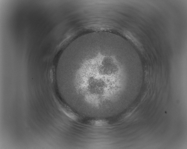 X0000071800165200606301210