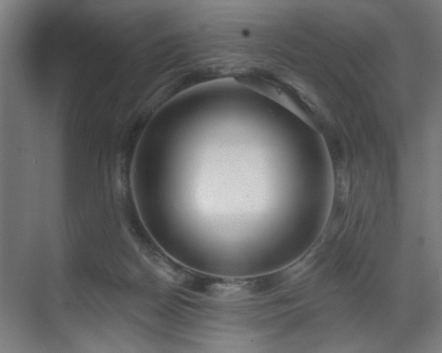 X0000071800170200606301210