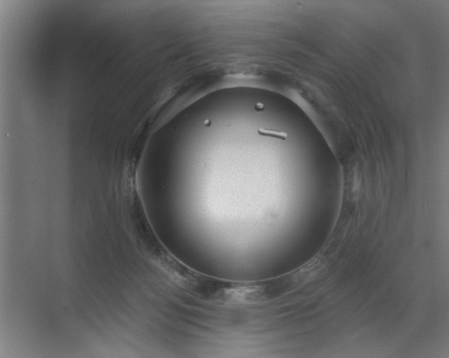 X0000071800172200606301210