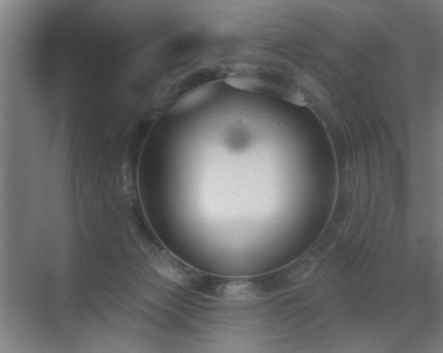 X0000071800173200606301210