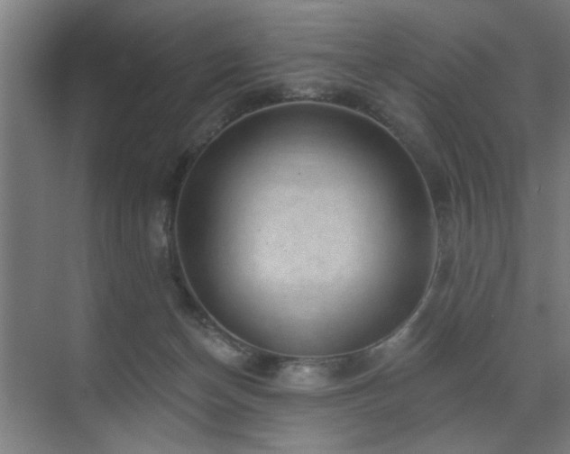 X0000071800174200606301210