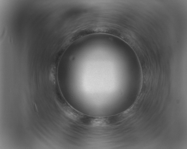 X0000071800175200606301210