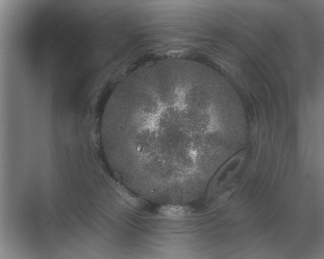 X0000071800181200606301210