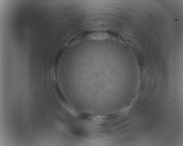 X0000071800182200606301210