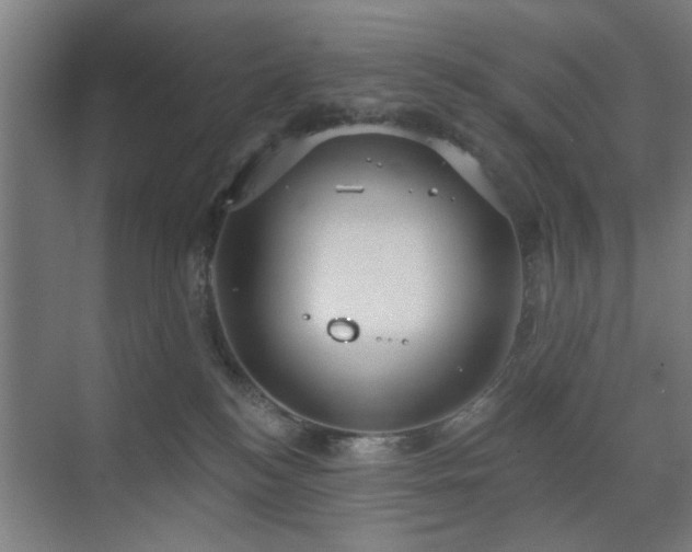 X0000071800184200606301210