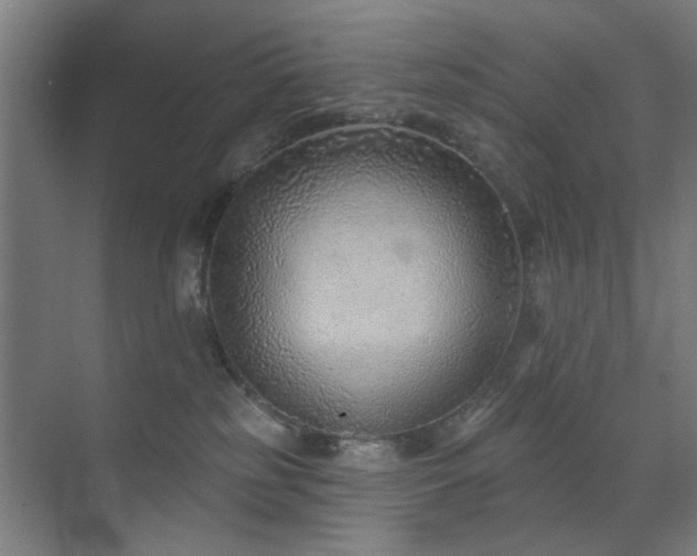 X0000071800185200606301210