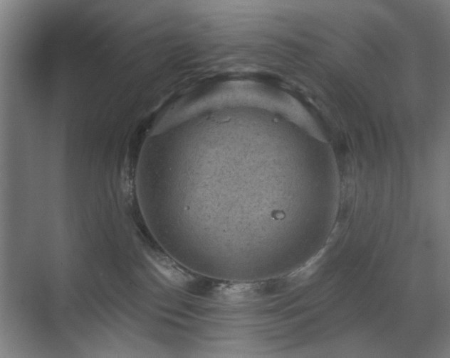 X0000071800186200606301210