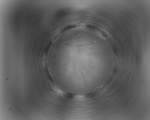 X0000071800189200606301210