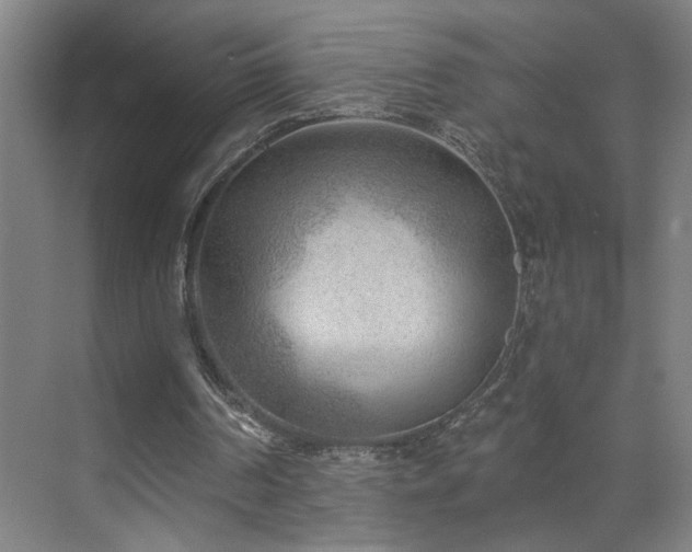 X0000071800194200606301210