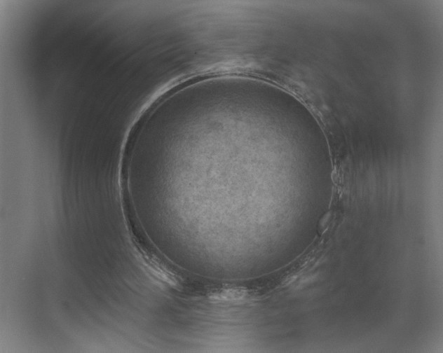 X0000071800196200606301210