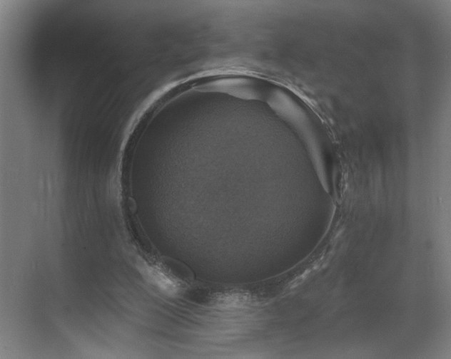 X0000071800200200606301210