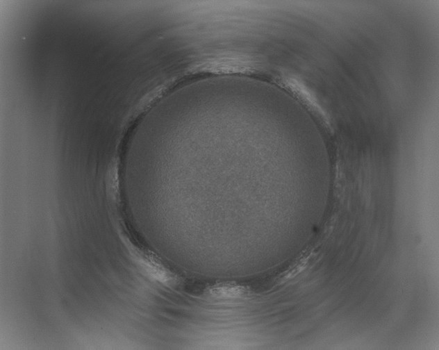 X0000071800202200606301210