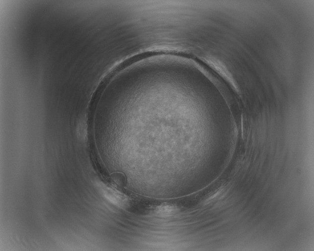 X0000071800204200606301210