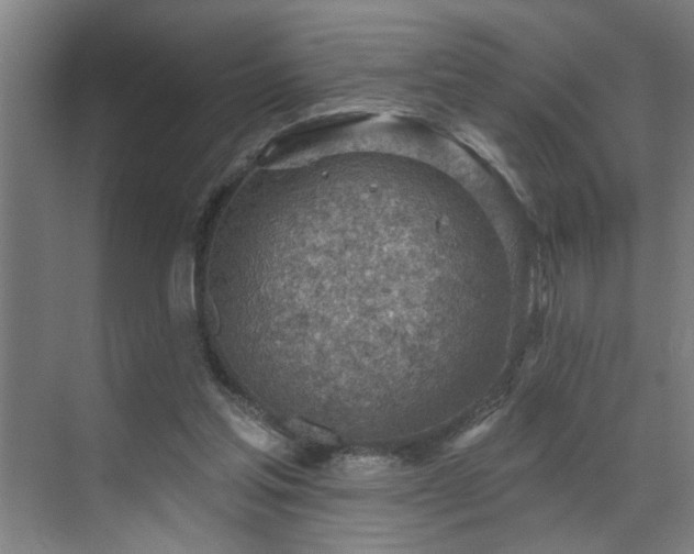 X0000071800205200606301210