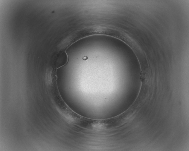 X0000071800216200606301209