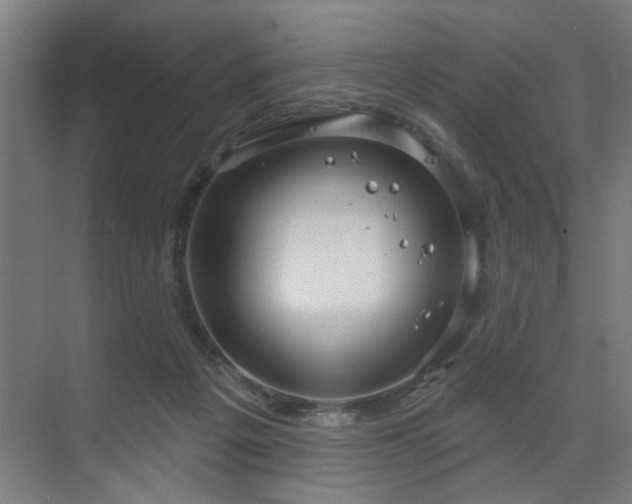 X0000071800217200606301209