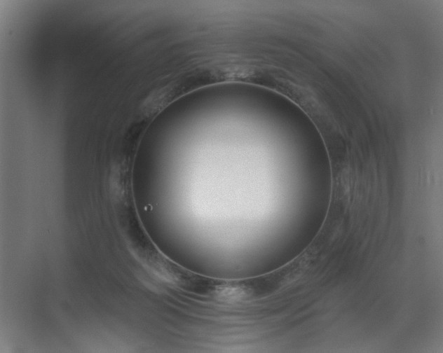 X0000071800218200606301209