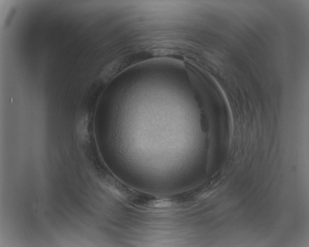 X0000071800219200606301209