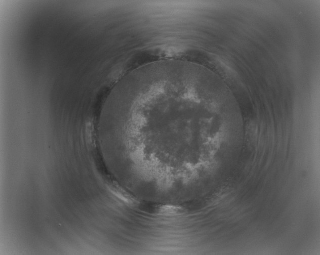 X0000071800222200606301209