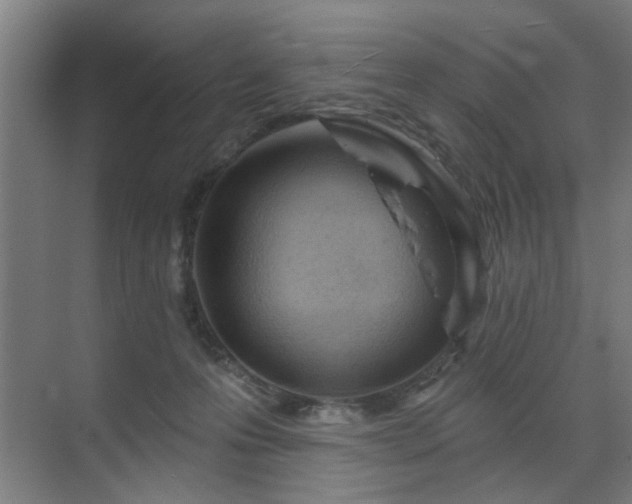 X0000071800223200606301209