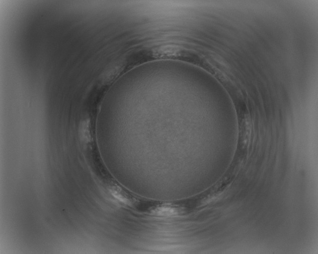 X0000071800224200606301209