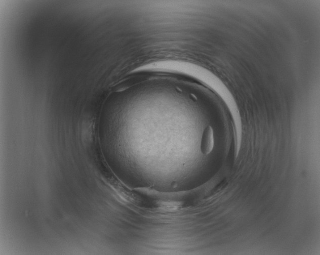 X0000071800227200606301209