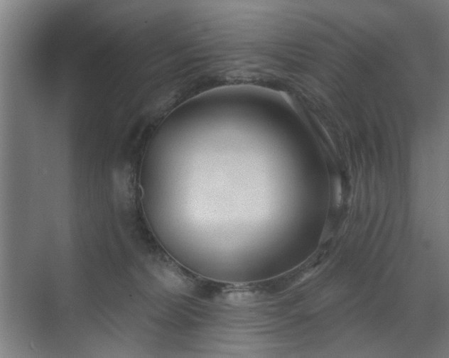 X0000071800228200606301209