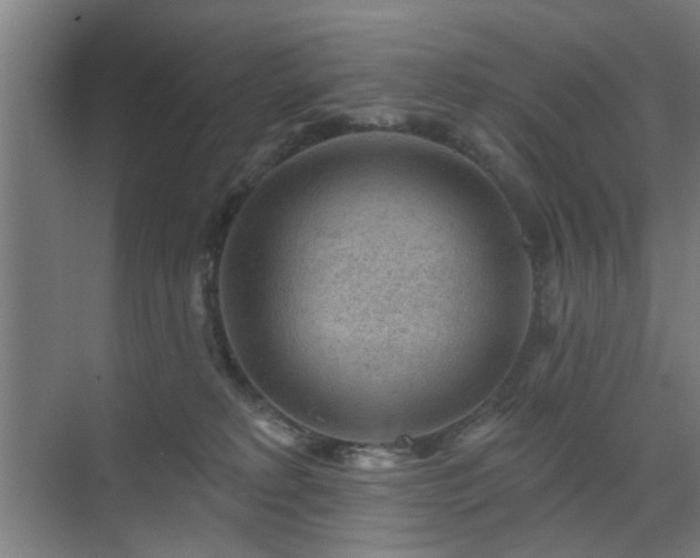 X0000071800229200606301209