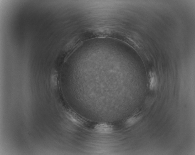 X0000071800231200606301209