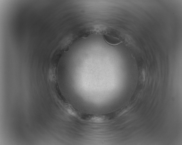 X0000071800236200606301209