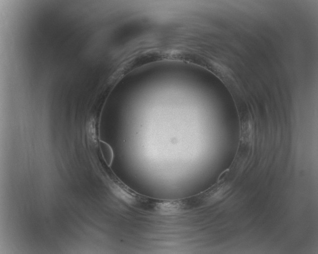 X0000071800238200606301209