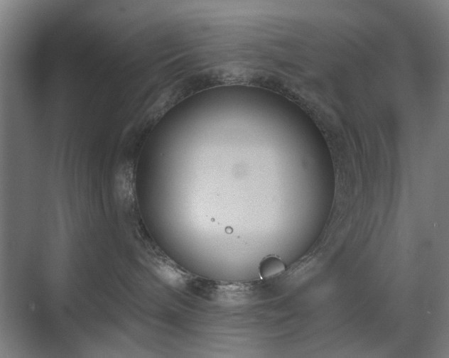 X0000071800240200606301209