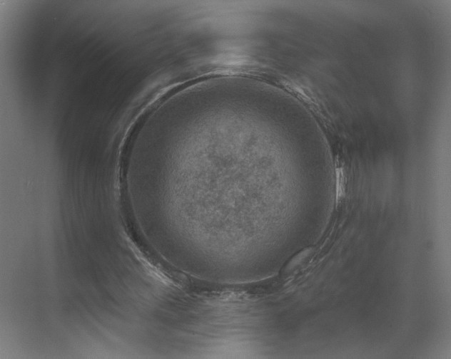 X0000071800243200606301208