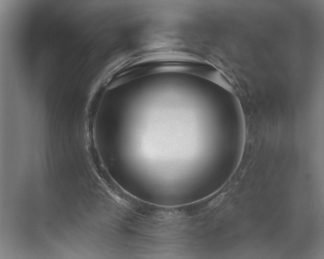 X0000071800245200606301208