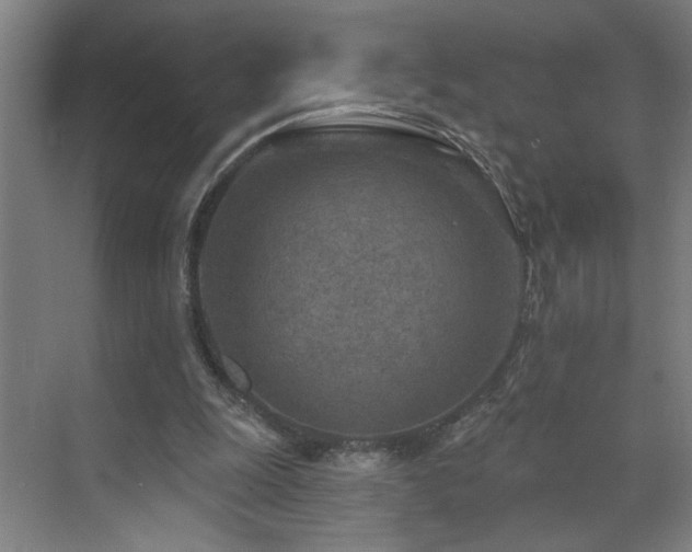 X0000071800247200606301208